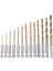 13PC Hss Titanyum Kaplamalı Matkap Bit Seti 1/4inch Hex Shank &amp 45PCS Bakır Tel Fırça Tekerlek Zımparalama Aksesuarları (Yurt Dışından) 2