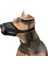 Show Tech Comfort Güvenli Köpek Ağızlığı Medium - Yarım Beden Ayarlanabilir Ağızlık Yüksek Koruma 4