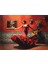 1000 Parçalık Puzzle - Flamenco 1204 2