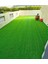 7mm Suni Yeşil Çim Halı, Doğal Görünümlü ve Dayanıklı Kullanım Için Ideal. 1