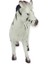 Vahşi Hayvanlar Serisi - YS2689 - Zebra (Lisinya) 3