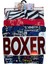 Star 106 Desenli Pamuklu Kemer Likralı 3'lü Boxer 4