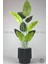 Yapay Muz Ağacı 160-185 cm Vega Saksı 1