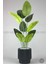 Yapay Muz Ağacı 160-185 cm Vega Saksı 7