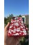 Redmi Note 11 Pro - Note 12 Pro 4g Kılıf Desenli Kamera Çıkıntılı Soft Tasarım Elde Kaymayan Kapak 2