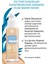 Kusursuz Ten Fondöten Bej 150 Yüksek Kapatıcılık ve 24 Saat Nem 30 ml 6