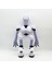 Yeni Ürün Vahşi Robot Peluş Bebek Bebek (Yurt Dışından) 2