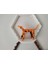 Robot Köpek Figürü Hareketli Eklemlerle Modern Tasarım 3+ Yaş İçin Eğlenceli 3