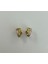 Gold Çelik Zirkon Taşlı Küpe - 316L 5