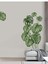 Tropikal Yapraklar Çocuk Odası Duvar Stickerı PVC Malzeme ile 60 x 80 CM Boyutunda 7