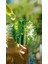 Selvi Kozalağı Özü 700ml 3