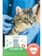 Kedi Parazit Ense Deri Damlası | Bit, Pire ve Kene Karşıtı Doğal Koruma Damlası 5x1 ml 3