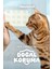 Kedi Parazit Ense Deri Damlası | Bit, Pire ve Kene Karşıtı Doğal Koruma Damlası 5x1 ml 4