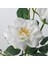 Smycka Yapay Çiçek Beyaz 65 cm Gül 5