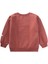At Aplikeli Sweatshirt 1-6 Yaş Gül Kurusu 2