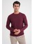Tr 888 Triko Slim Bordo 3