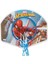 01522 Spiderman Basket Potası Orta Boy 2