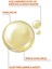 Idea Derma Argan ve Keratin Besleyici Saç Bakım Yağı 100 ml 2