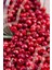 Kırmızı Karabiber Tane 50 G – Doğal ve Katkısız 3