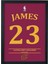 Lebron James Tasarımlı Siyah Çerçeveli Tablo Poster 1