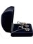 Safir Işıltılı Gümüş Çiçek Set&takım-Mücevher Bahçesi Koleksiyonu 2