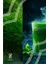 Spirulina Tozu 250G – Bitkisel Protein ve Vitamin Kaynağı 2