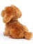 Trudi Peluş Toy Poddle Oliver Oturan Köpek 20 cm 3