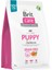 Resveq Brit Care 3 kg x 4 Adet Deri ve Tüy Hassasiyeti Olan Yavru Köpekler Için, Tahılsız, Somonlu Kuru Mama 1
