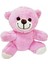 Sevimli Peluş Pembe Ayıcık 1