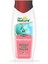 Faber Nature Meyve Bahçesi - Bitkisel Esaslı Duş Jeli - Doğal Karışık Meyve Özleri (400 ml Şişe) 1