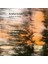 Avıshaı Cohen-Ashes To Gold - Plak 1