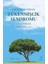 Çağımızın Vebası Tükenmişlik Sendromu ve Sonrası : "business Burnout" + Yapışkanlı Not Kağıdı 1