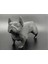 Düşük Poli Fransız French Bulldog 1
