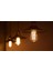 CT-4350 Rustik 4W LED Ampul Vintage Uzun Filament Amber E-27 Gün Işığı E27 Rustik Ampul 6 Watt Kahve 4