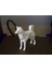 Düşük Poli Shiba Inu (Köpek) 1
