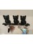 Kedi Kuyruk Anahtar Rafı 1