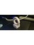 Fidget Ring Anahtar Tıkıcı 5
