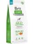 Skin & Coat Somonlu Tahılsız Büyük Irk Yetişkin Köpek Maması 12KG 1