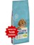 Puppy Kuzu Etli Yavru Köpek Maması 14KG 1