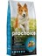 Prochoice Sensitive Skin Balık ve Pirinçli Hassas Derili Yetişkin Köpek Maması 12KG 1