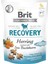 Brit Recovery Ringa Balıklı Köpek Ödül MAMASI150GR 1