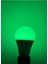 10 Watt Yeşil Işık 765 Lümen 220 Volt LED Ampul Tekli Cool White E27 LED Ampul 10 Watt Yok 1