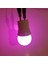 Gece Lambası Ampülü Pembe 1W LED E27 Duy Tekli Cool White E27 LED Ampul 1 Watt Yok A'dan G'ye F Cn 3