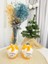 Orange Cake Mum 1