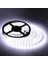 On Çip 40*40 Şerit LED - Beyaz Işık (6500K) - 12 V - Iç Mekan - 5 Metre - CT-4480 Cn 1
