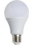 CT-4266 12W 6400K (Beyaz Işık) E27 Duylu LED Ampul 2’li 2'li Beyaz Işık E27 LED Ampul 12 Watt Yok 1