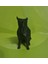 Cane Doperman Art Poly 2