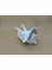 Triceratops Kafatası 5