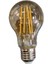 6W E27 A60 Flamanlı Gold LED Ampul Tekli Beyaz Işık E27 LED Ampul 6 Watt Yok A'dan G'ye E 618C2564-0 2