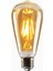 Armut Tipi Ampül Flemanlı Tasarruflu ST64 LED Rustik Dekoratif Ampul Vintage Aydınlatma Tekli Sarı I 2